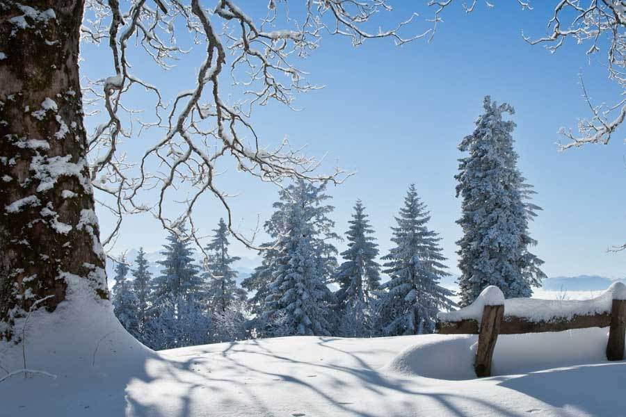 表健康监测功能升级小米发布新款智能手