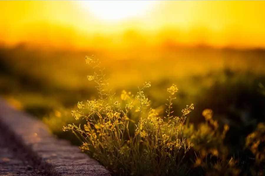 表健康监测功能升级小米发布新款智能手(图2)